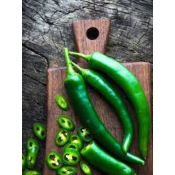 Green chilli  (1)-5336367-21629.webp